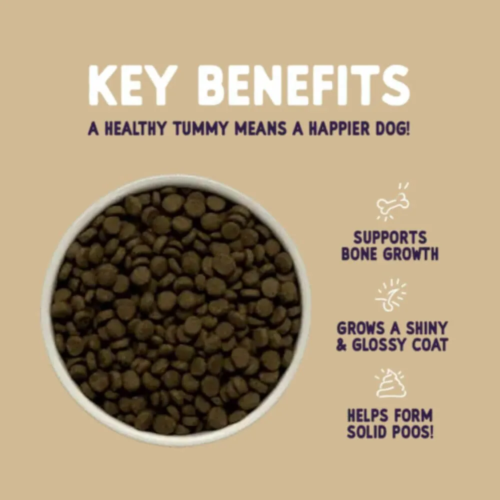 Burgess Sensitive Puppy Food Turkey & Rice 12.5kg