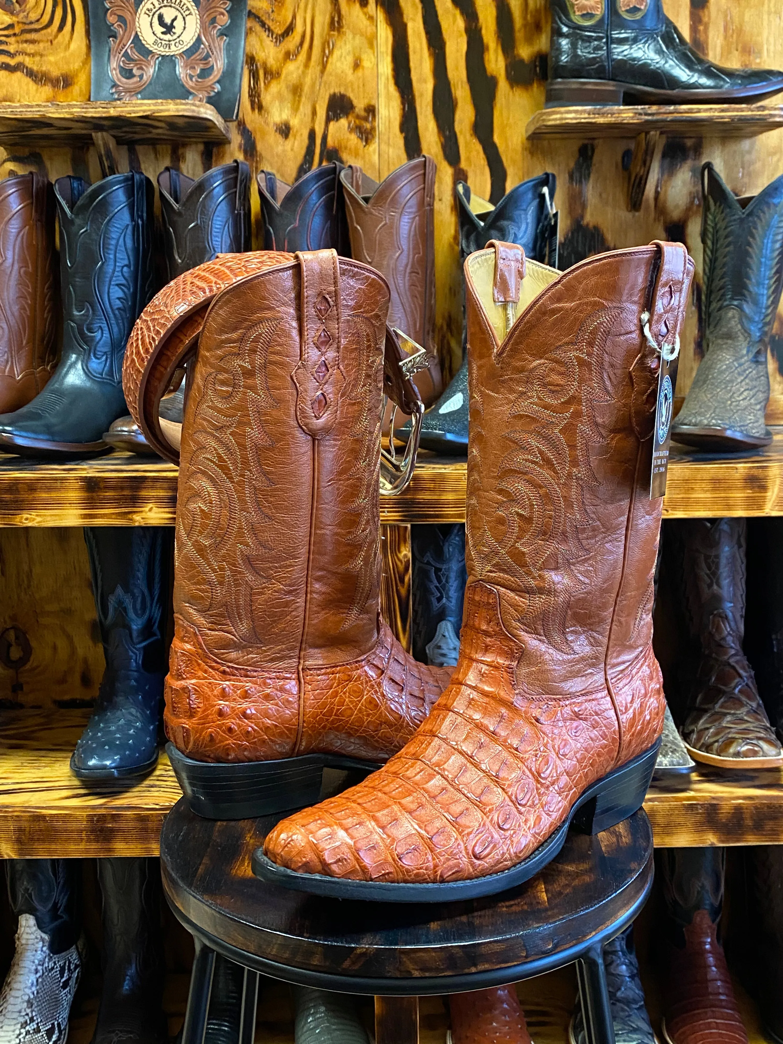 Cognac Hornback Caiman 10.5EE