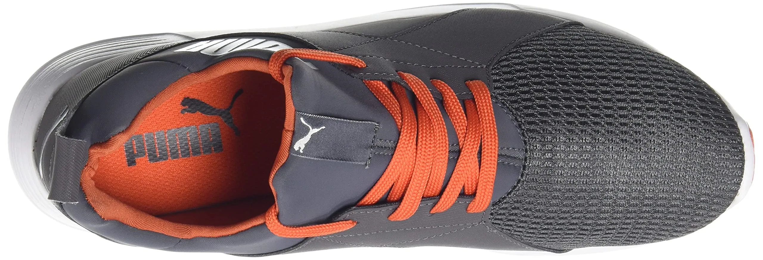 Puma men Zod Runner NM Asphalt-Pureed Pumpkin-Silver Running Shoe