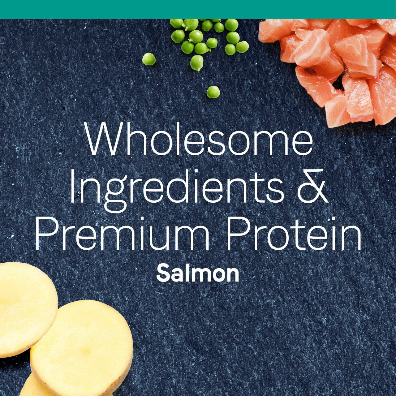 PURE Grain Free Cat Dry Food - Salmon