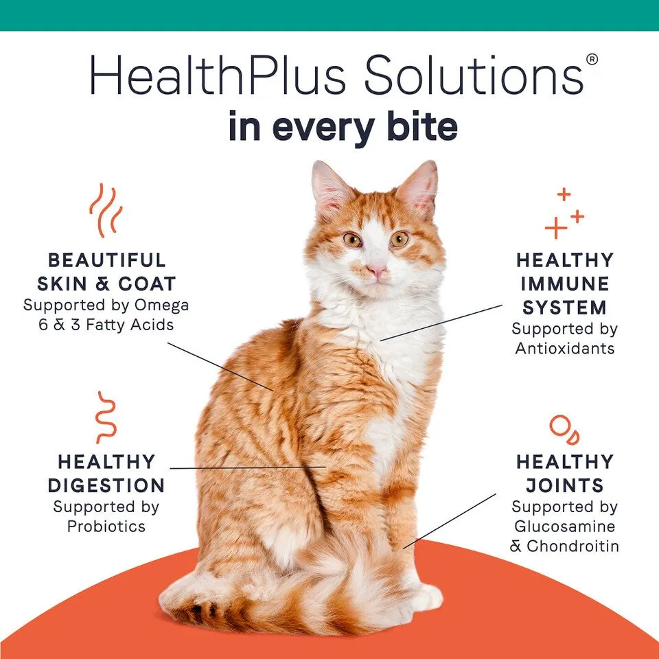 PURE Grain Free Cat Dry Food - Salmon