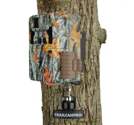 Slate River Stealth Game Camera Mount